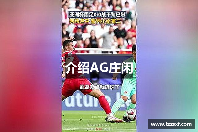 介绍AG庄闲